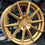 Rin 16 Gold (Cod.515)